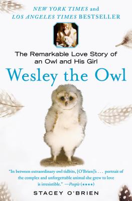 Wesley the Owl: The Remarkable Love Story of an Owl and His Girl - Stacey O'brien