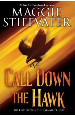 Call Down the Hawk (the Dreamer Trilogy, Book 1), Volume 1 - Maggie Stiefvater