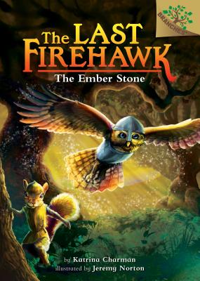 The Ember Stone: A Branches Book (the Last Firehawk #1), Volume 1 - Katrina Charman