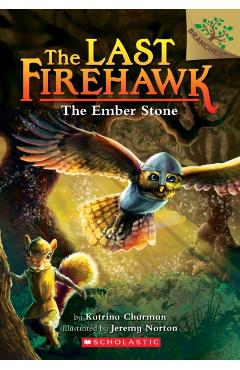 The Ember Stone: A Branches Book (the Last Firehawk #1), Volume 1 - Katrina Charman