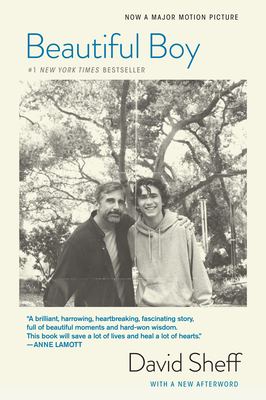 Beautiful Boy (Tie-In): A Father's Journey Through His Son's Addiction - David Sheff