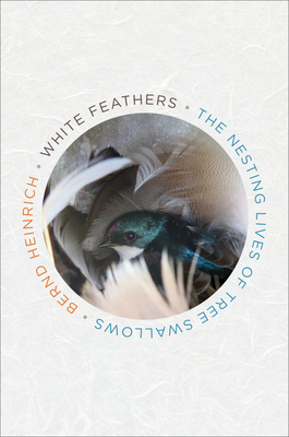 White Feathers: The Nesting Lives of Tree Swallows - Bernd Heinrich