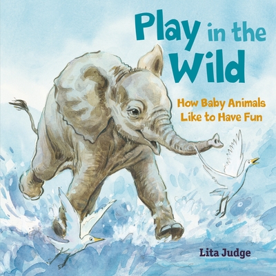 Play in the Wild: How Baby Animals Like to Have Fun - Lita Judge