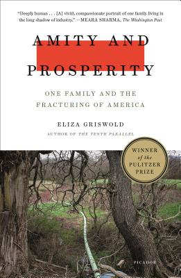 Amity and Prosperity: One Family and the Fracturing of America - Eliza Griswold