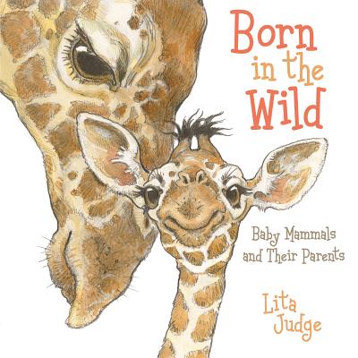 Born in the Wild: Baby Animals and Their Parents - Lita Judge
