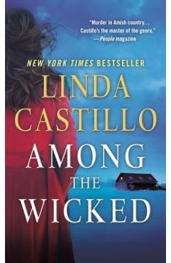 Coperta cărții 'Among the Wicked - Linda Castillo'