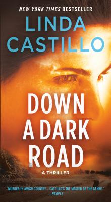 Down a Dark Road: A Kate Burkholder Novel - Linda Castillo