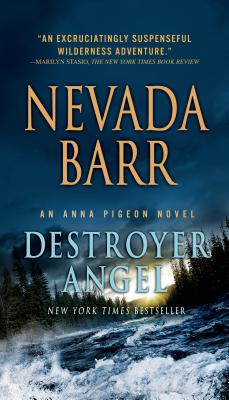 Destroyer Angel - Nevada Barr