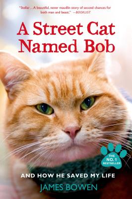 A Street Cat Named Bob and How He Saved My Life - James Bowen