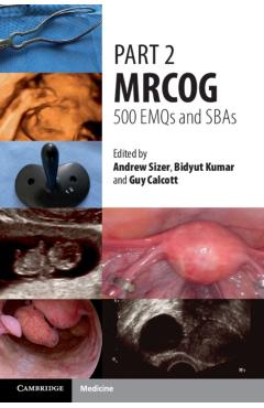 Part 2 Mrcog: 500 Emqs and Sbas - Andrew Sizer