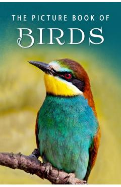 The Picture Book of Birds: A Gift Book for Alzheimer's Patients and Seniors with Dementia - Sunny Street Books