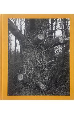 Poza produsului Tim Carpenter: Christmas Day, Bucks Pond Road - Tim Carpenter