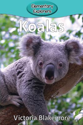 Koalas - Victoria Blakemore