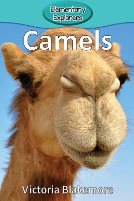 Camels - Victoria Blakemore