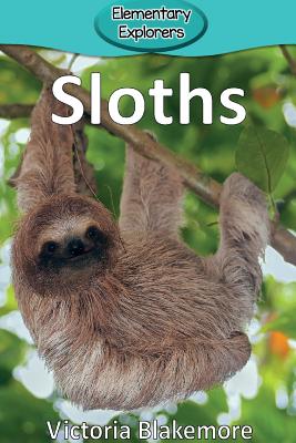 Sloths - Victoria Blakemore