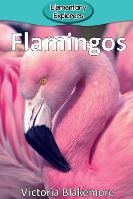 Flamingos - Victoria Blakemore