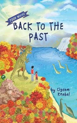 Back To The Past: Decodable Chapter Books For Kids With Dyslexia - Cigdem Knebel