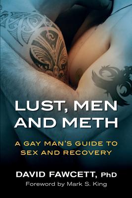 Lust, Men, and Meth: A Gay Man's Guide to Sex and Recovery - David Michael Fawcett