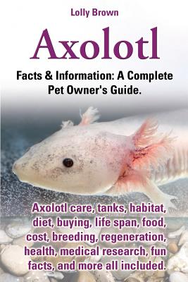 Axolotl. Axolotl Care, Tanks, Habitat, Diet, Buying, Life Span, Food, Cost, Breeding, Regeneration, Health, Medical Research, Fun Facts, and More All - Lolly Brown