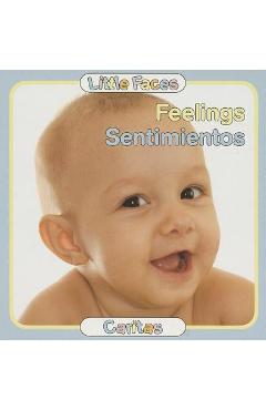 Feelings/Sentimientos