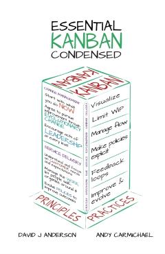 Essential Kanban Condensed - David J. Anderson