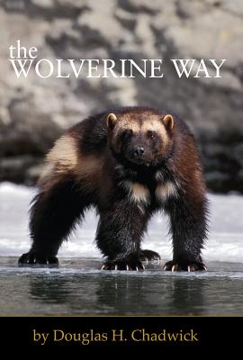 The Wolverine Way - Douglas H. Chadwick