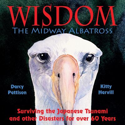 Wisdom, the Midway Albatross: Surviving the Japanese Tsunami and Other Disasters for Over 60 Years - Darcy Pattison