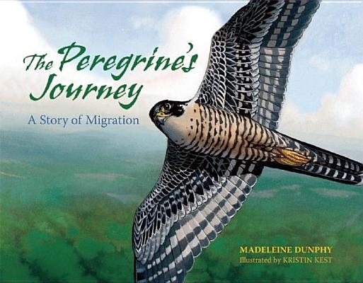 The Peregrine's Journey: A Story of Migration - Madeleine Dunphy