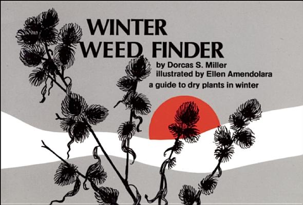 Winter Weed Finder: A Guide to Dry Plants in Winter - Dorcas S. Miller