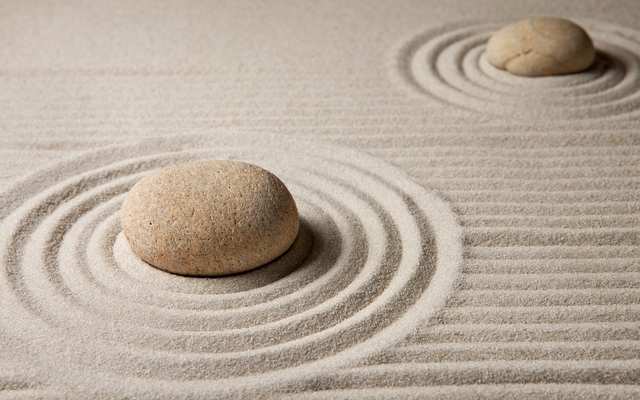 The Zen Way - Venerable Myokyo-ni