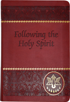 Following the Holy Spirit: Dialogues, Prayers, and Devotions Intended to Help Everyone Know, Love, and Follow the Holy Spirit - Walter Van De Putte