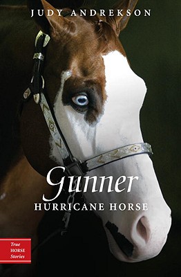 Gunner: Hurricane Horse - Judy Andrekson