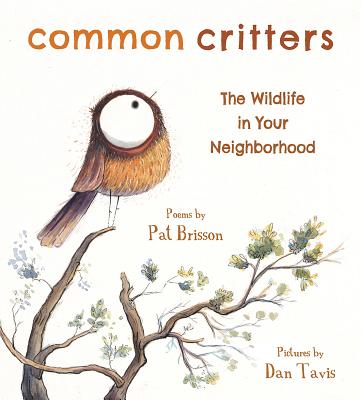 Common Critters: The Wildlife in Your Neighborhood - Pat Brisson