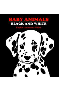 Baby Animals: Black and White - Phyllis Limbacher Tildes
