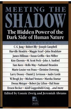 Meeting the Shadow - Connie Zweig