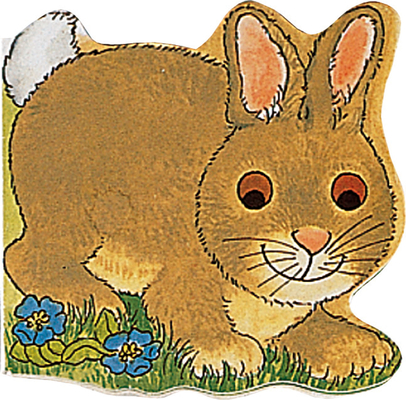 Pocket Bunny - Pam Adams