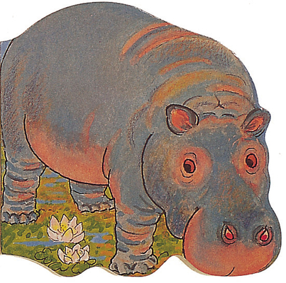 Hippo - Pam Adams