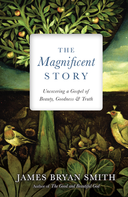 The Magnificent Story: Uncovering a Gospel of Beauty, Goodness, and Truth - James Bryan Smith