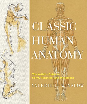 Classic Human Anatomy: The Artist's Guide to Form, Function, and Movement - Valerie L. Winslow