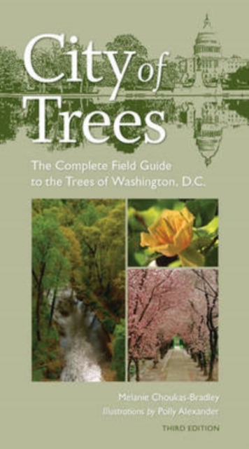 City of Trees: The Complete Field Guide to the Trees of Washington, D.C. - Melanie Choukas-bradley