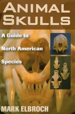 Animal Skulls: A Guide to North American Species - Mark Elbroch