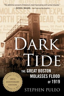Dark Tide: The Great Boston Molasses Flood of 1919 - Stephen Puleo
