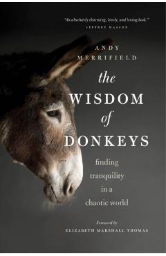 The Wisdom of Donkeys: Finding Tranquility in a Chaotic World - Andy Merrifield