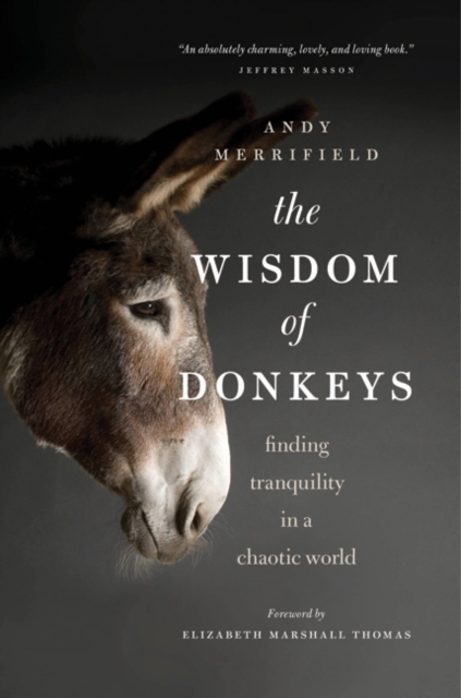 The Wisdom of Donkeys: Finding Tranquility in a Chaotic World - Andy Merrifield
