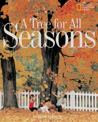 Tree for All Seasons - Robin Bernard