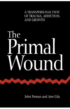 The Primal Wound: A Transpersonal View of Trauma, Addiction, and Growth - John Firman