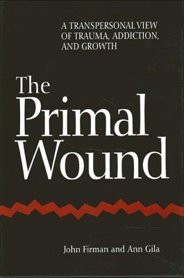 The Primal Wound: A Transpersonal View of Trauma, Addiction, and Growth - John Firman