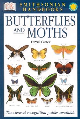 Handbooks: Butterflies & Moths: The Clearest Recognition Guide Available - David Carter