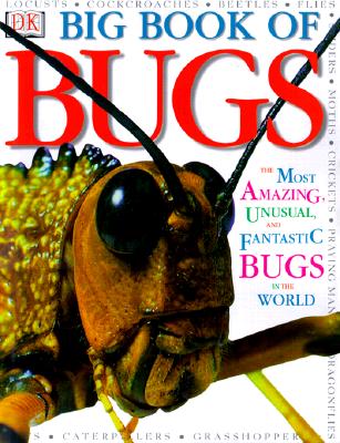 Big Book of Bugs - Dk