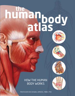The Human Body Atlas: How the Human Body Works - National Geographic